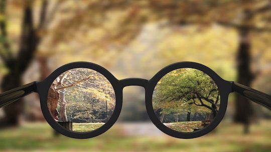 Seeing the World Through the Lens of your Core Values Index Profile