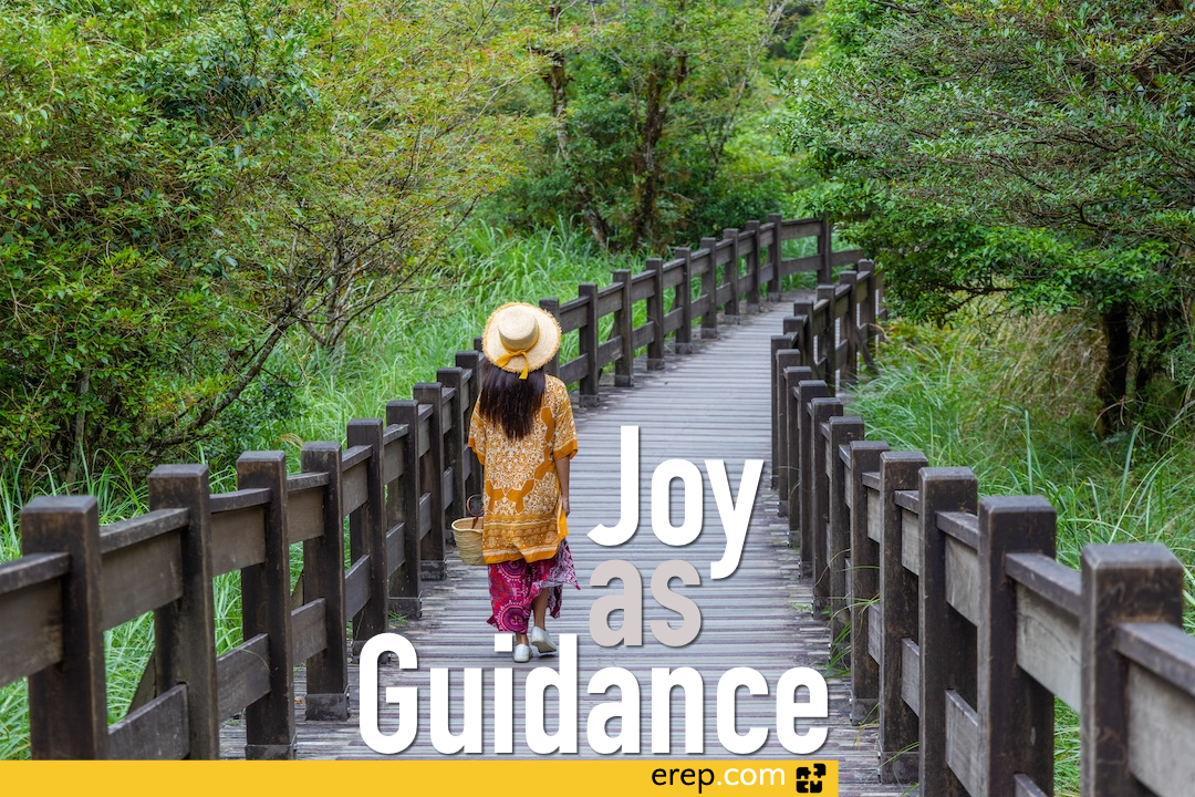 Joy as Guidance