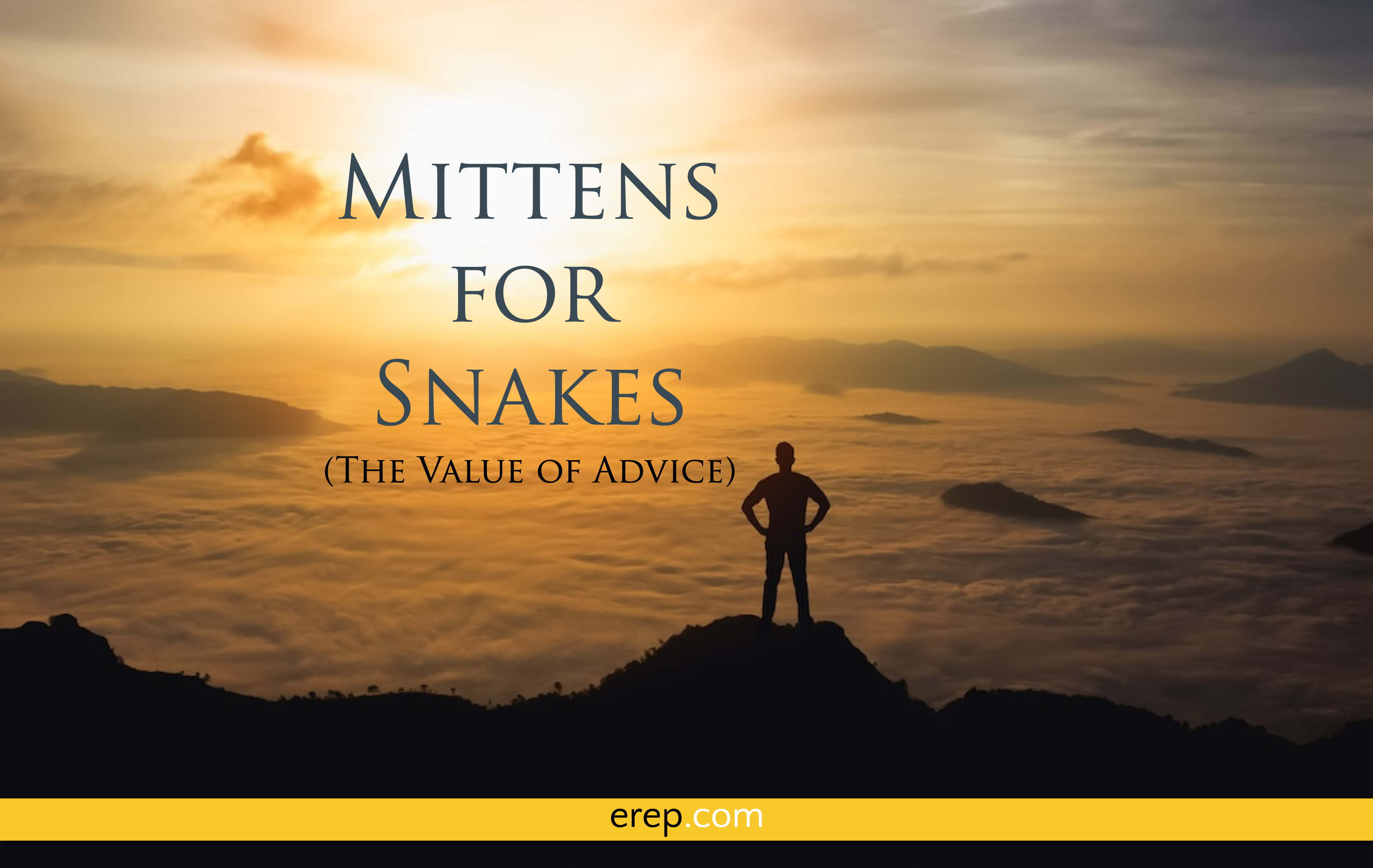 Mittens for Snakes (The Value of Advice)