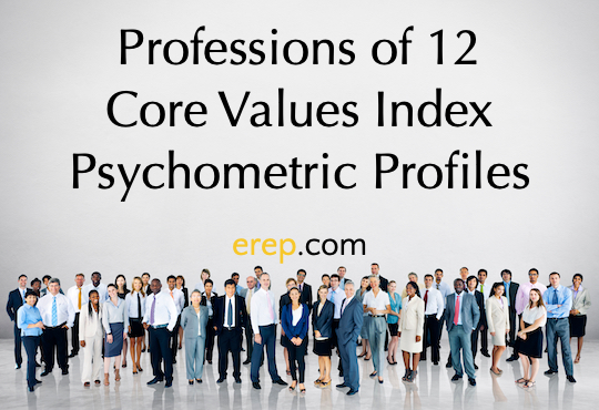 Professions of 12 Core Values Index Psychometric Profiles